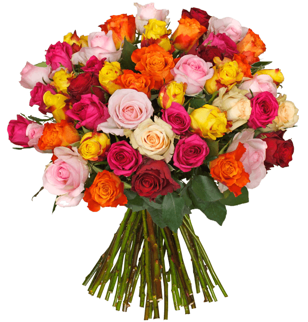 blumenstrauß "sweetroses" mit 50 bunten rosen für 2545