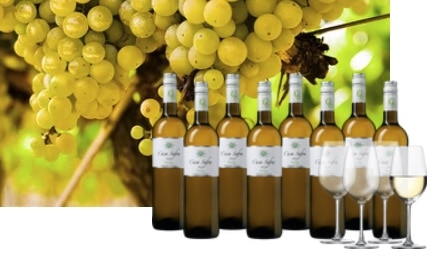 8x spanischer Casa Safra Wein + 4 Gläser