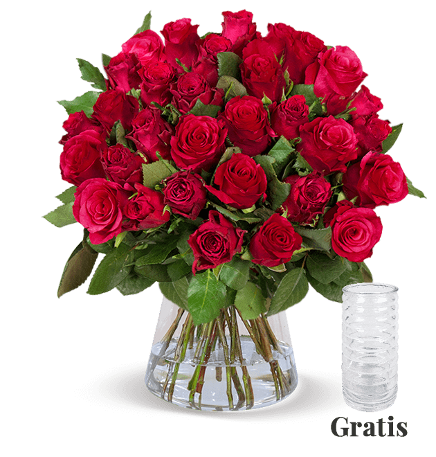 Strauß mit 25 roten Rosen + gratis Vase für nur 25€ 🌹 - MyTopDeals