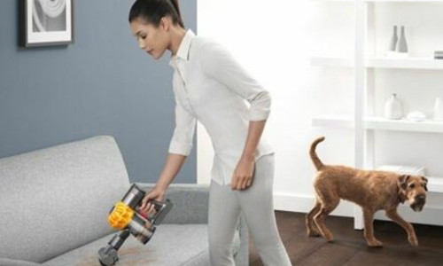 Dyson V6 Top Dog Staubsauger ideal fuer Tierhaare