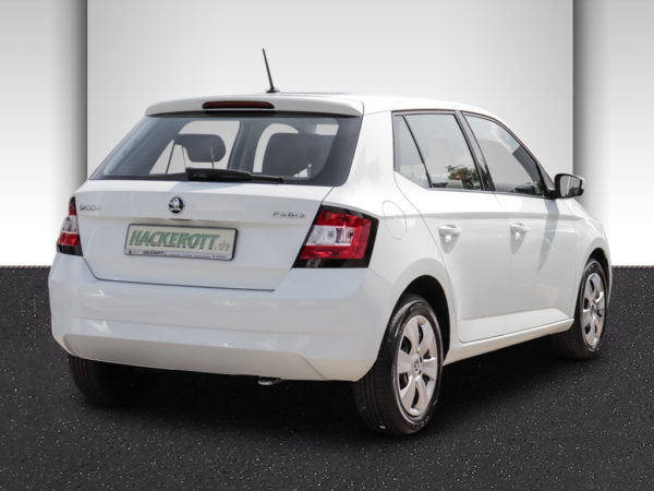 fabia skoda