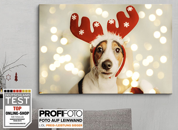 Last Minute Geschenkideen Bei Lidl Z B Foto Leinwand Ab 10 99 Mytopdeals