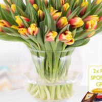 40 zweifarbige Tulpen rot gelb  2 gratis Mini Schokis 1