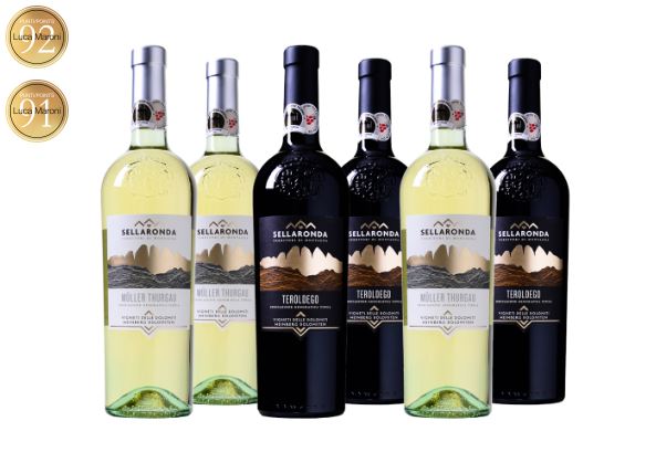 Wein Probierpaket Luca Maroni
