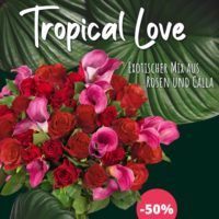 Tropical Love Blumen