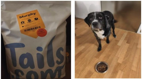 Gratis 4 Wochen lang Hundefutter Tails.com