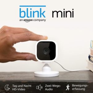 Blink mini Kamera