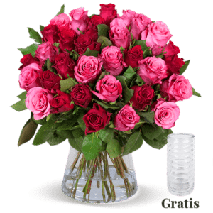 25 rot-pinke Rosen inkl. GRATIS Vase