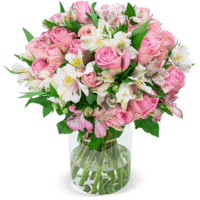 33 Rosen "Sweet Surprise" mit 120 Blüten