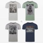 T-Shirts im 4er Pack ab 30€ + gratis Versand 👕💥 Von Tom Tailor, riverso & Mustang