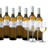 Weinpaket Casa Safra Verdejo, 8 Flaschen + 4 Gläser