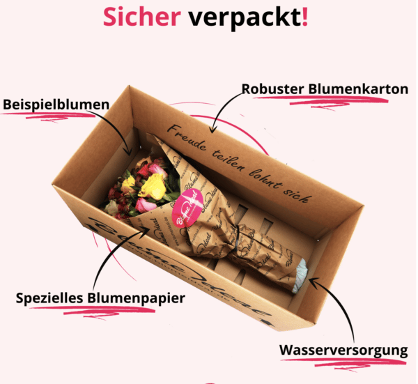 Blumeideal Rosenglueck XXL Verpackung MyTopDeals