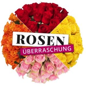 Rosenueberraschung im Angebot mit 41 Rosen  BlumeIdeal.de 2022 04 28 12 16 37