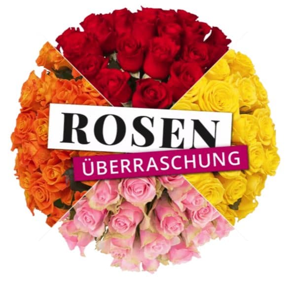 Rosenueberraschung im Angebot mit 41 Rosen  BlumeIdeal.de 2022 04 28 12 16 37