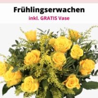 Blumenstrauß Frühlingserwachen inkl. Vase