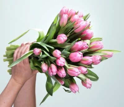 30 rosa Tulpen (35cm Länge) für 10€