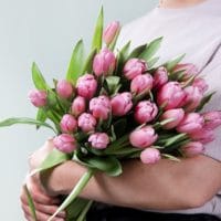 30 rosa Tulpen (35cm Länge) für nur 10€