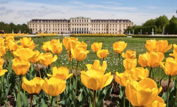 Travelzoo - 4 Sterne Hotel Holiday Inn Vienna-South