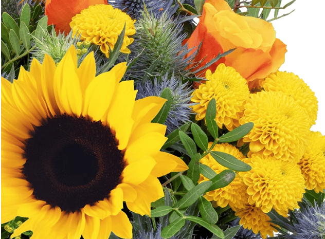 Blumenstrauß mit Sonnenblumen, Rosen & Diesteln im Detail