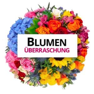Blumenueberraschung bestellen   Fantastisch  BlumeIdeal.de 2022 08 09 14 29 37