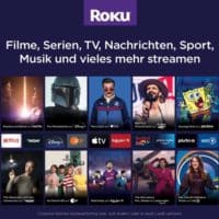 Roku Streaming Stick   4K
