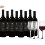 8 Flaschen Casa Safra Wein mit 4 Weingläsern 😋🍷 & Gratis-Versand