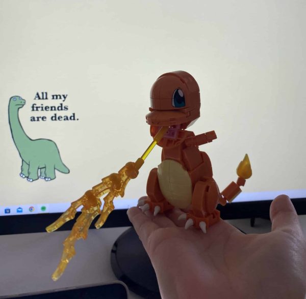 IMG 5607 scaled e1665490876609