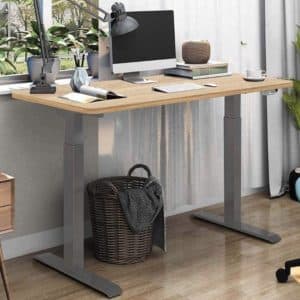 Flexispot EK2