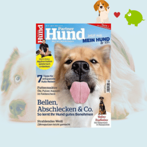 Partner Hund
