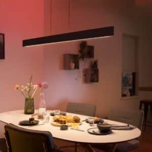 Philips Hue White  Color Ambiance Ensis Pendelleuchte   schwarz