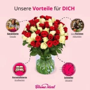35 rot weisse Rosen