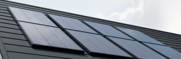 Ecoflow Solarpaneele mit je 100W