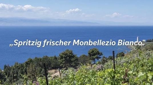 Monbellezio Monbellezio