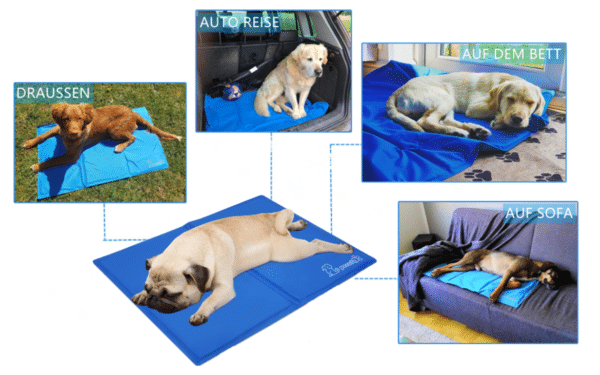 Pecute Kühlmatte in blau Verwendungsmöglichkeiten