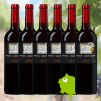 6x Calle Principal Tempranillo-Cabernet Sauvignon
