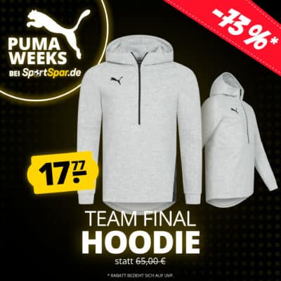 PUMA Weeks teamFINAL Hoodie MOB DEUnew