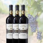 [Endet] 6x Vento Caldo Syrah 🍷 kräftiger Rotwein