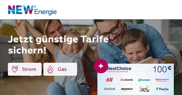 NEW Energie UEbersicht 100 NEW Energie UEbersicht 100