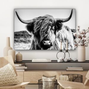 schotse hooglander uitsneden bvc eb ebfaesqcnedc4wos canvas 2cm middel sfeer6 min
