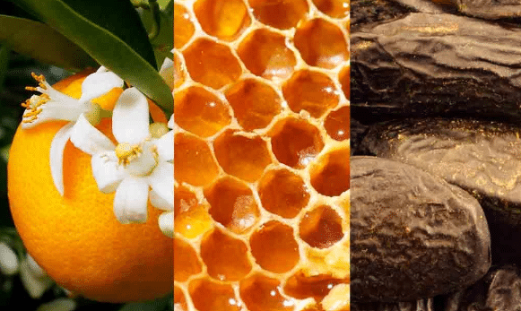 Screenshot 2024 08 07 143951 Screenshot 2024 08 07 143951