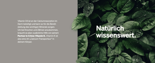 Screenshot 2024 10 08 114844