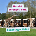 4* Hotel in der Lüneburger Heide 🐑 & Eintritt in den Serengeti-Park 🦁 ab 2x ÜF mit 1x Dinner ab 139€ p.P. 🍽