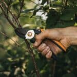 🌿 Fiskars L P361 Solid Amboss Gartenschere