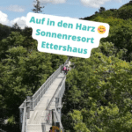 45qm Apartment im 4* Sonnenresort im Harz 😊 mit top Lage & SPA ⛰️ z.B. 2x ÜF ab nur noch 139€ p.P.