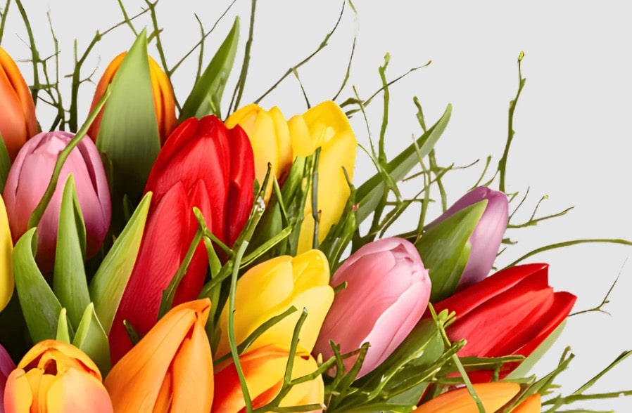 Tulpenstrauss   Modern Love