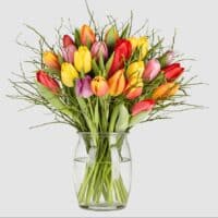 Tulpenstrauss Modern Love