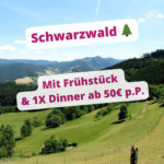 [Endet] Nord-Schwarzwald 🌲 z.B. 1x ÜN 🍽️ mit tägl. Frühstück & 1x Dinnerbuffet für 50€ p.P. (ab Juli 2025)