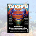 Jahresabo "Tauchen" 🐠🤿 für 145,60€ + bis zu 145€ Prämie