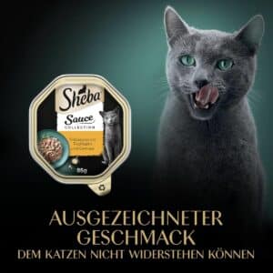 SHEBA Schale Nassfutter fuer Katzen   Sauce Collection Frikassee mit Truthahn und Gemuese