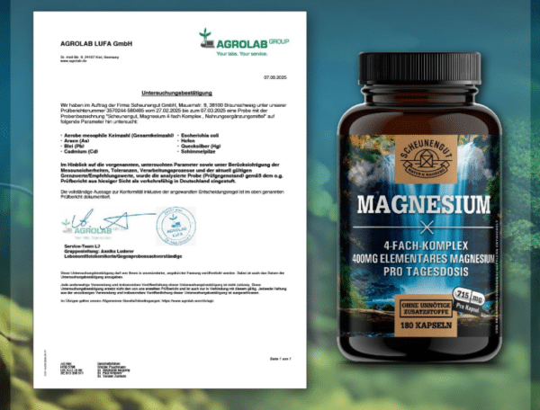 Bildschirmfoto 2025 08 05 um 12.16.07